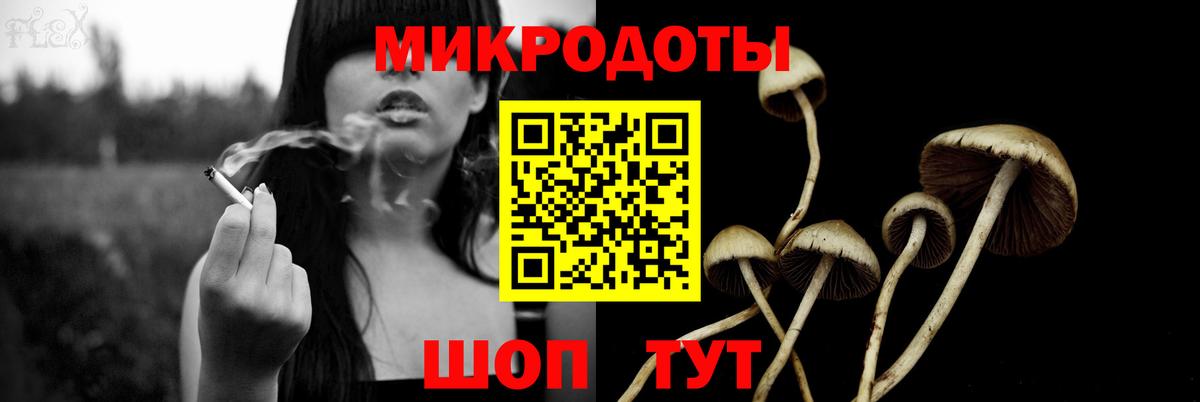 Псилоцибиновые грибы Psilocybine cubensis  Вход с VPN  Элиста  Псилоцибиновые грибы Psilocybine cubensis 